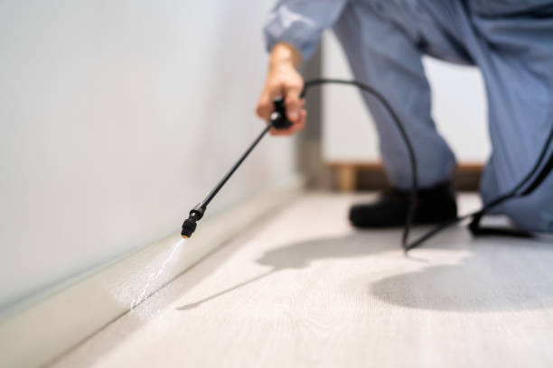 Licensed Pest Control service in Willoughby, OH - Show Me Pest Control