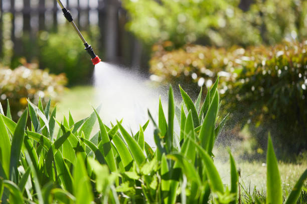 24/7 Emergency Wasp Removal experts in Willoughby, OH