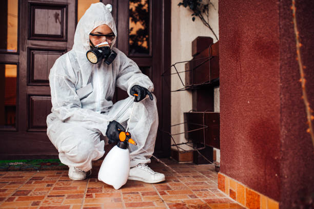 Reliable Wasp Removal contractor in Willoughby, OH by Show Me Pest Control
