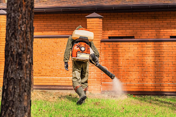 Top rated local Wasp Removal specialists in Willoughby, OH